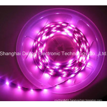 SMD5050 10mm CE Approved Flexible LED Strip Light
